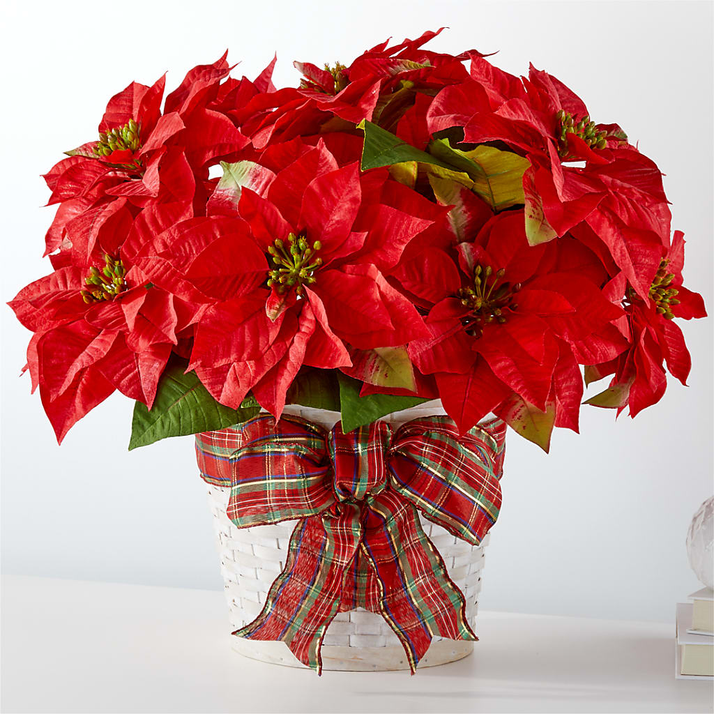 Happiest Holidays Poinsettia – Minish And Potts Llc, Crestwood KY