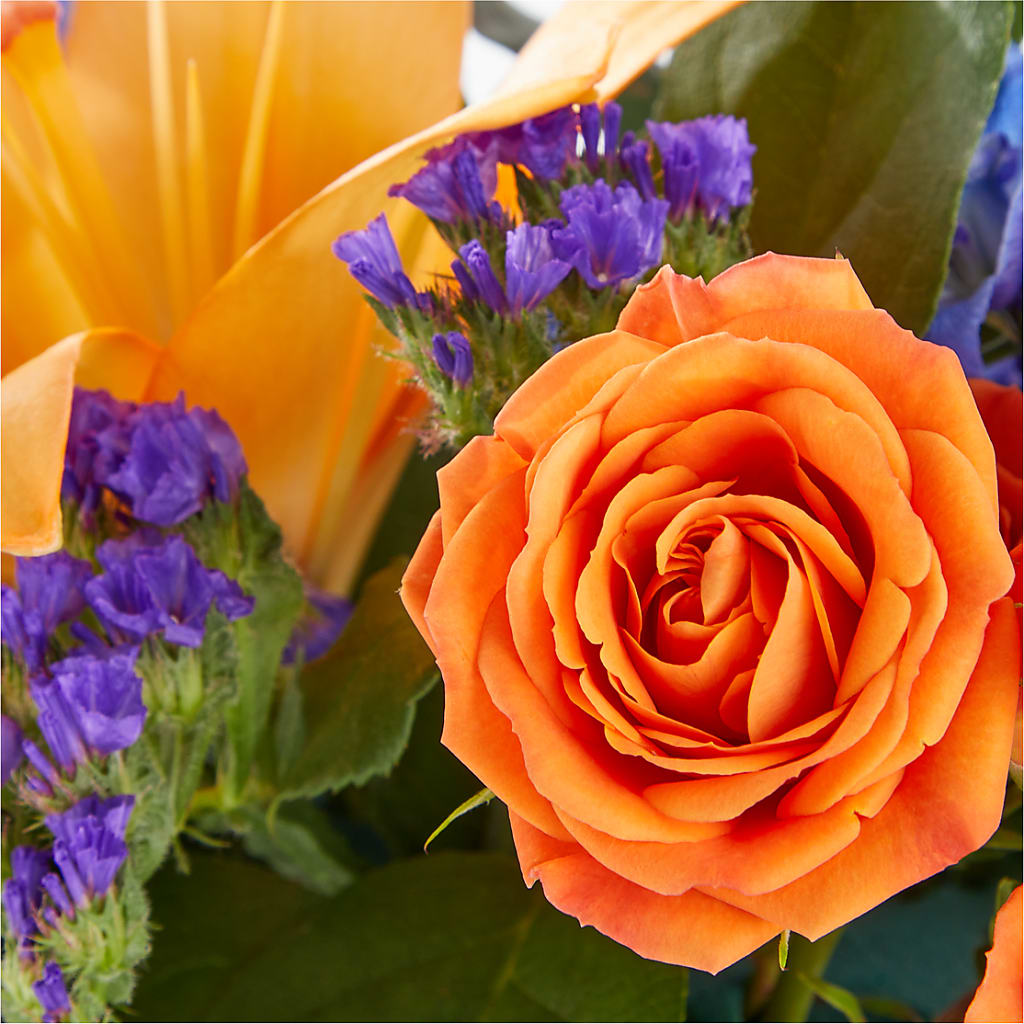 Radiant Citrus Box Bouquet – Minish And Potts Llc, Crestwood KY