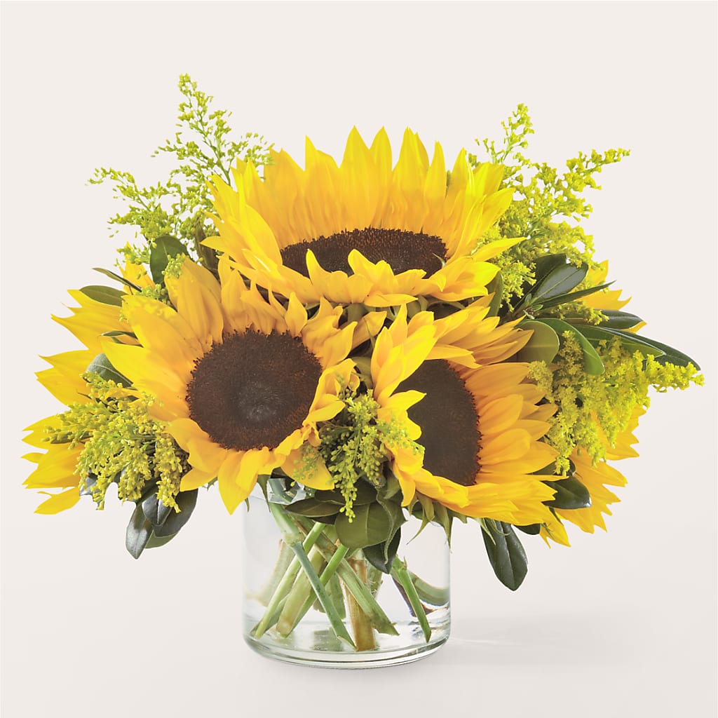 Beaming Sunflower Bouquet – Minish And Potts Llc, Crestwood KY