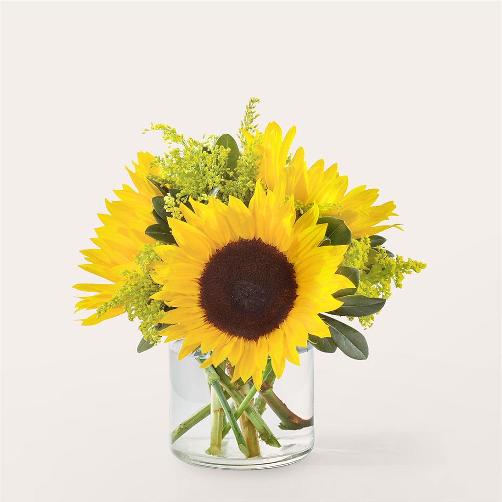 Beaming Sunflower Bouquet – Minish And Potts Llc, Crestwood KY