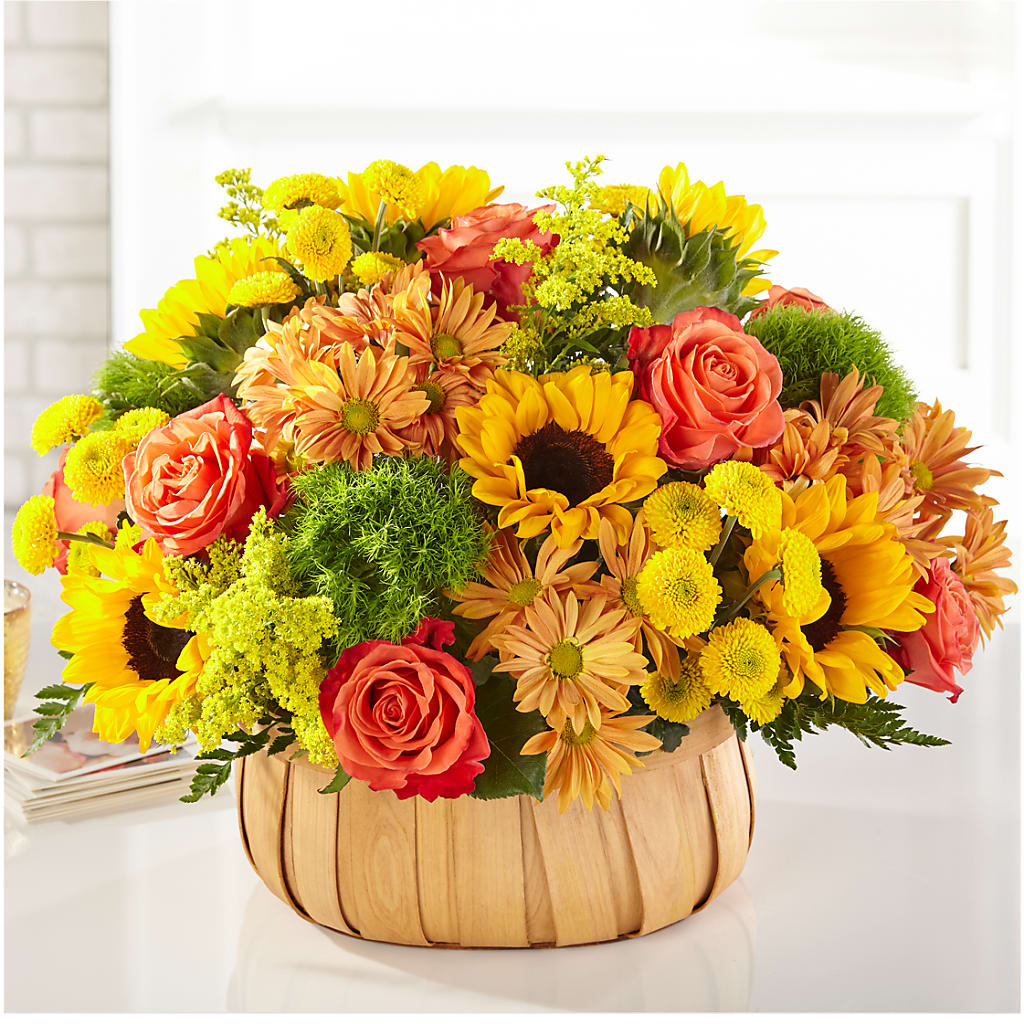 Harvest Sunflower Basket – Minish And Potts Llc, Crestwood KY