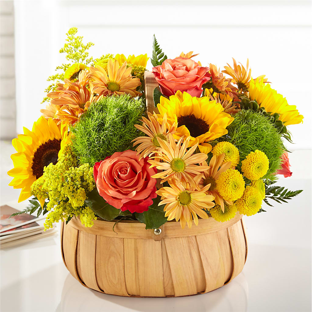 Harvest Sunflower Basket – Minish And Potts Llc, Crestwood KY