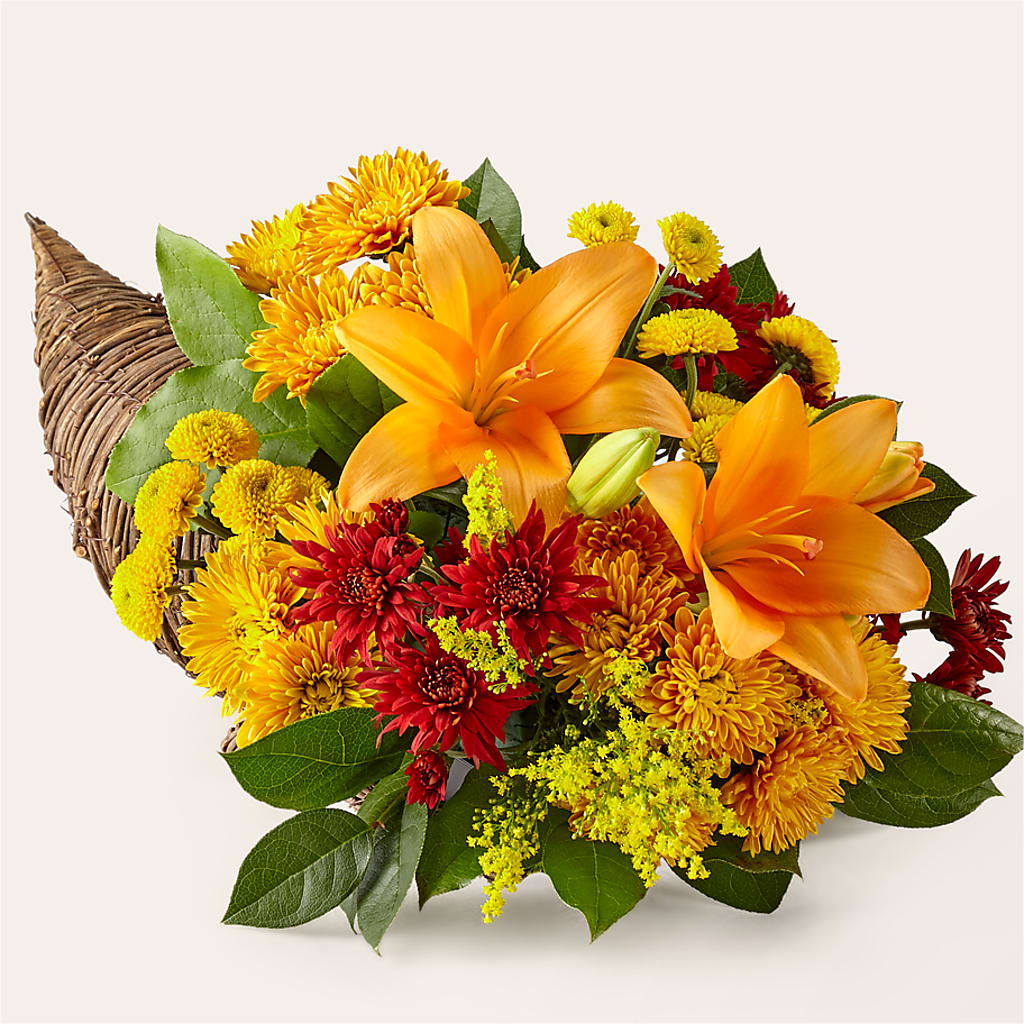 Feast of Color Cornucopia – Minish And Potts Llc, Crestwood KY