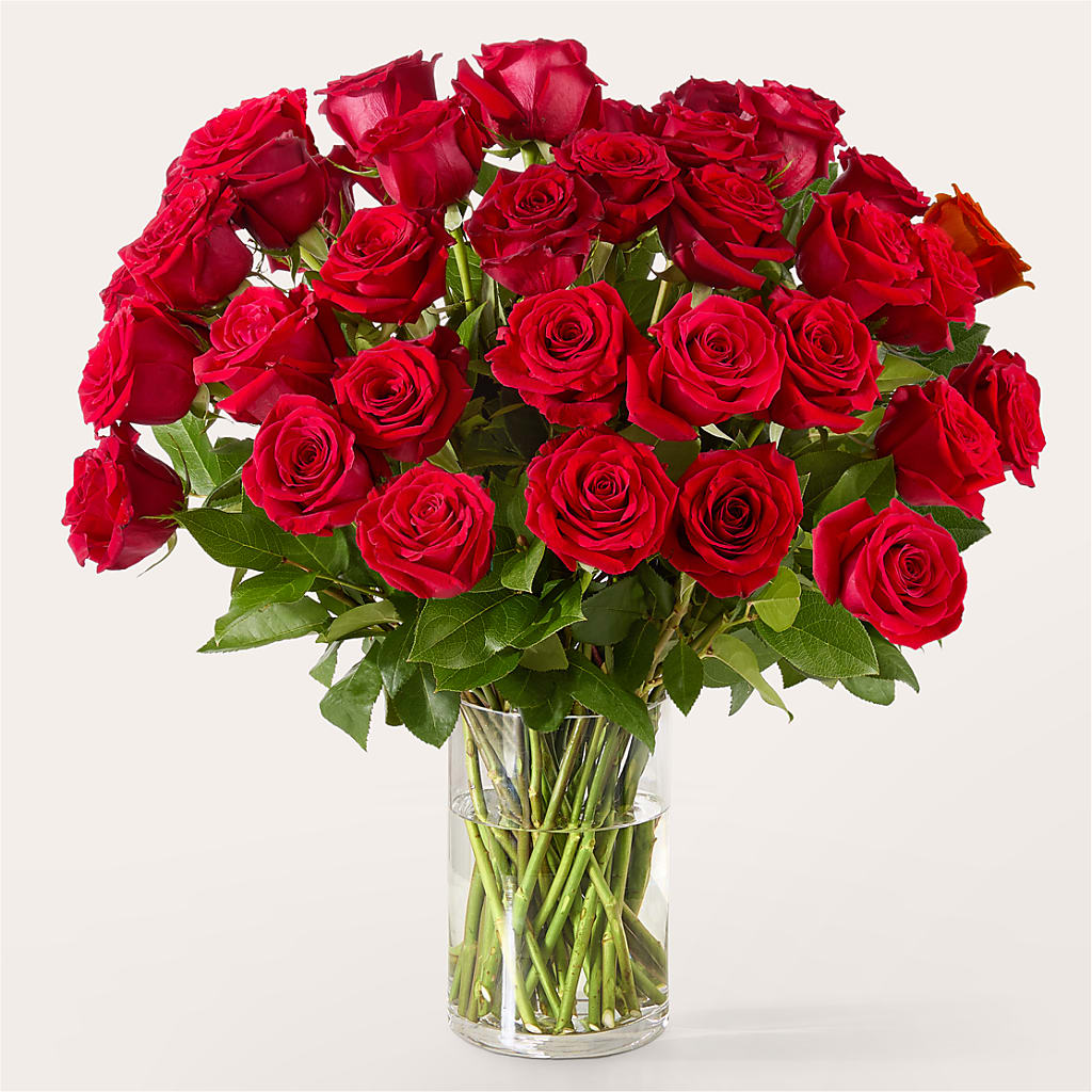 The One Red Rose Bouquet – Minish And Potts Llc, Crestwood KY