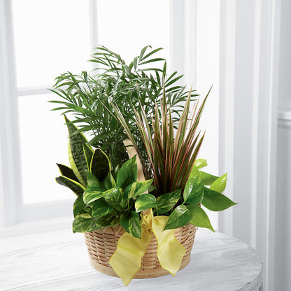 French Garden –  Minish And Potts Llc, Crestwood KY