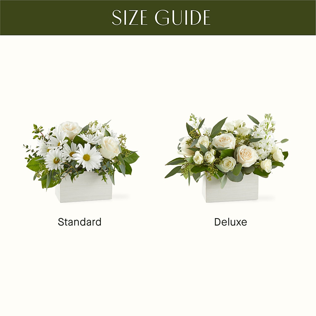 Fresh Linen Box Bouquet –  Minish And Potts Llc, Crestwood KY