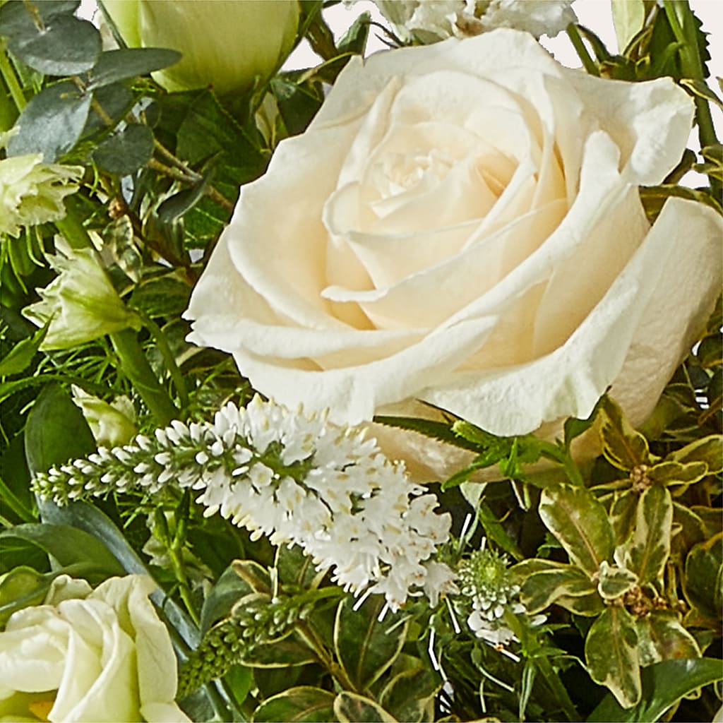 Cashmere Bouquet –  Minish And Potts Llc, Crestwood KY