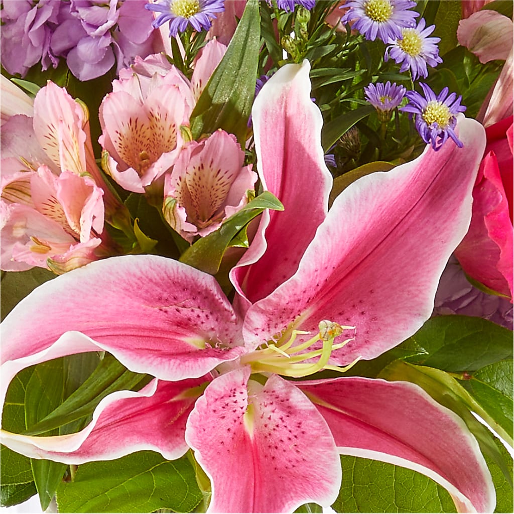 Written in the Stars Bouquet –  Minish And Potts Llc, Crestwood KY