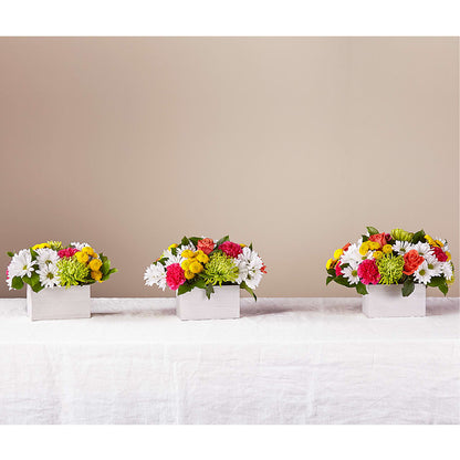 Sorbet Bouquet –  Minish And Potts Llc, Crestwood KY