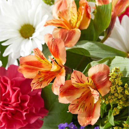 Oopsie Daisy Box Bouquet –  Minish And Potts Llc, Crestwood KY