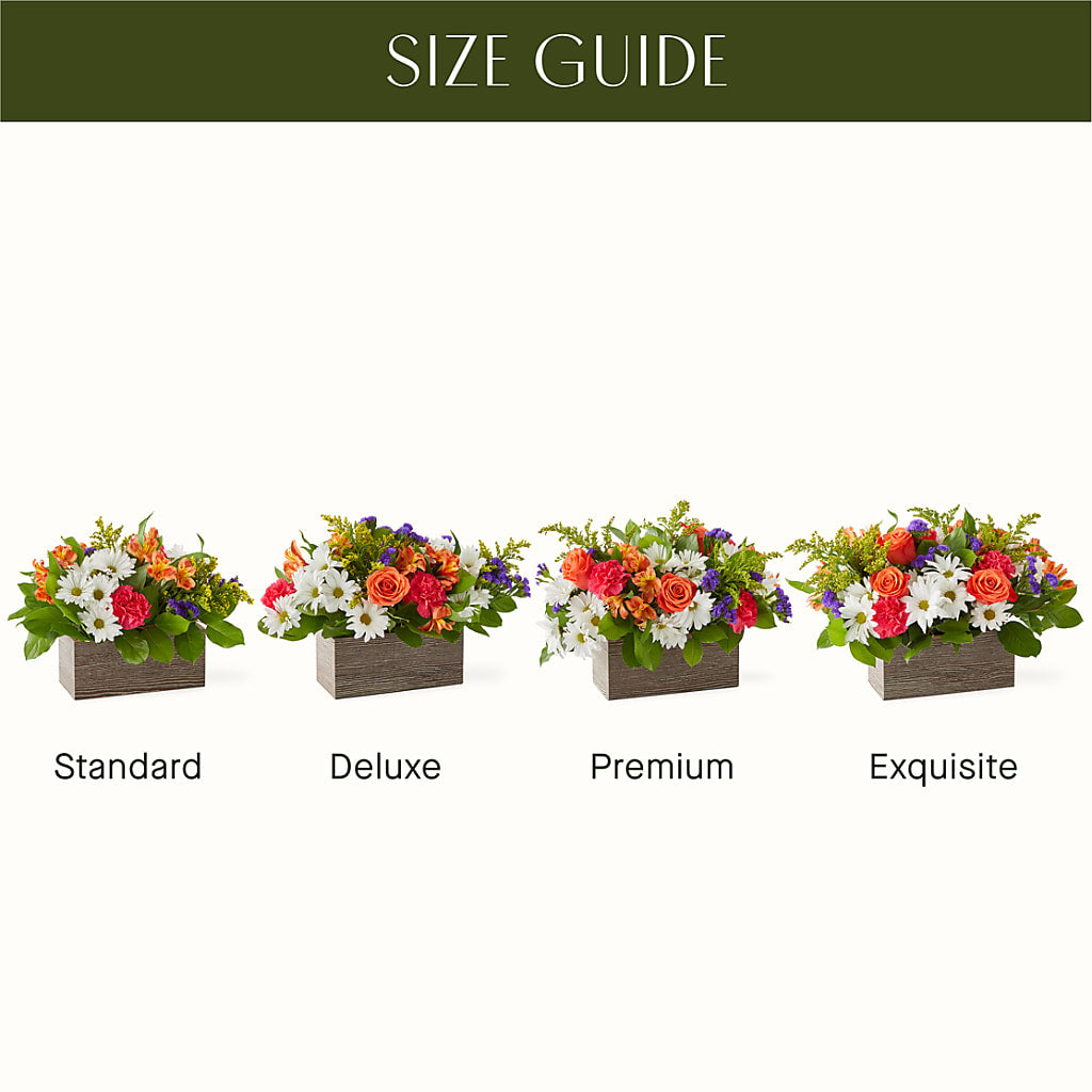 Oopsie Daisy Box Bouquet –  Minish And Potts Llc, Crestwood KY