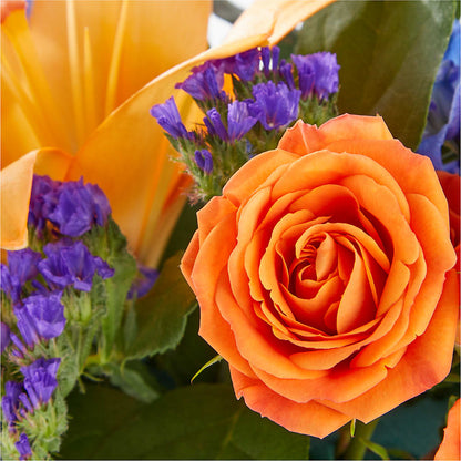 Radiant Citrus Box Bouquet –  Minish And Potts Llc, Crestwood KY