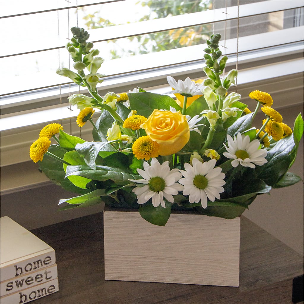 Sun Salutation Box Bouquet –  Minish And Potts Llc, Crestwood KY