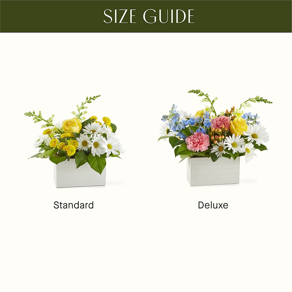 Sun Salutation Box Bouquet –  Minish And Potts Llc, Crestwood KY