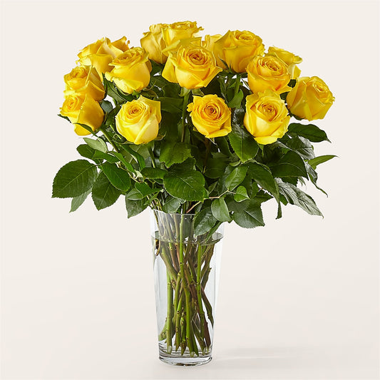 Long Stem Yellow Rose Bouquet –  Minish And Potts Llc, Crestwood KY