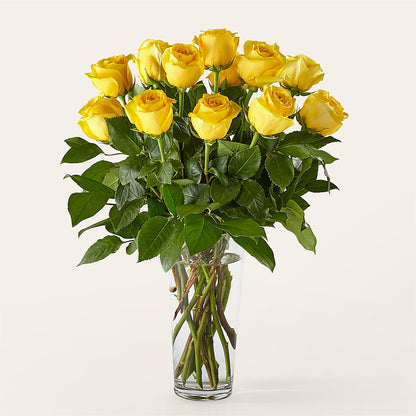 Long Stem Yellow Rose Bouquet –  Minish And Potts Llc, Crestwood KY