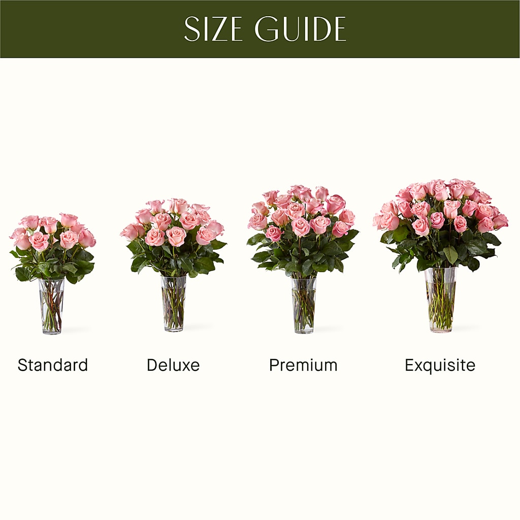 Long Stem Pink Rose Bouquet –  Minish And Potts Llc, Crestwood KY