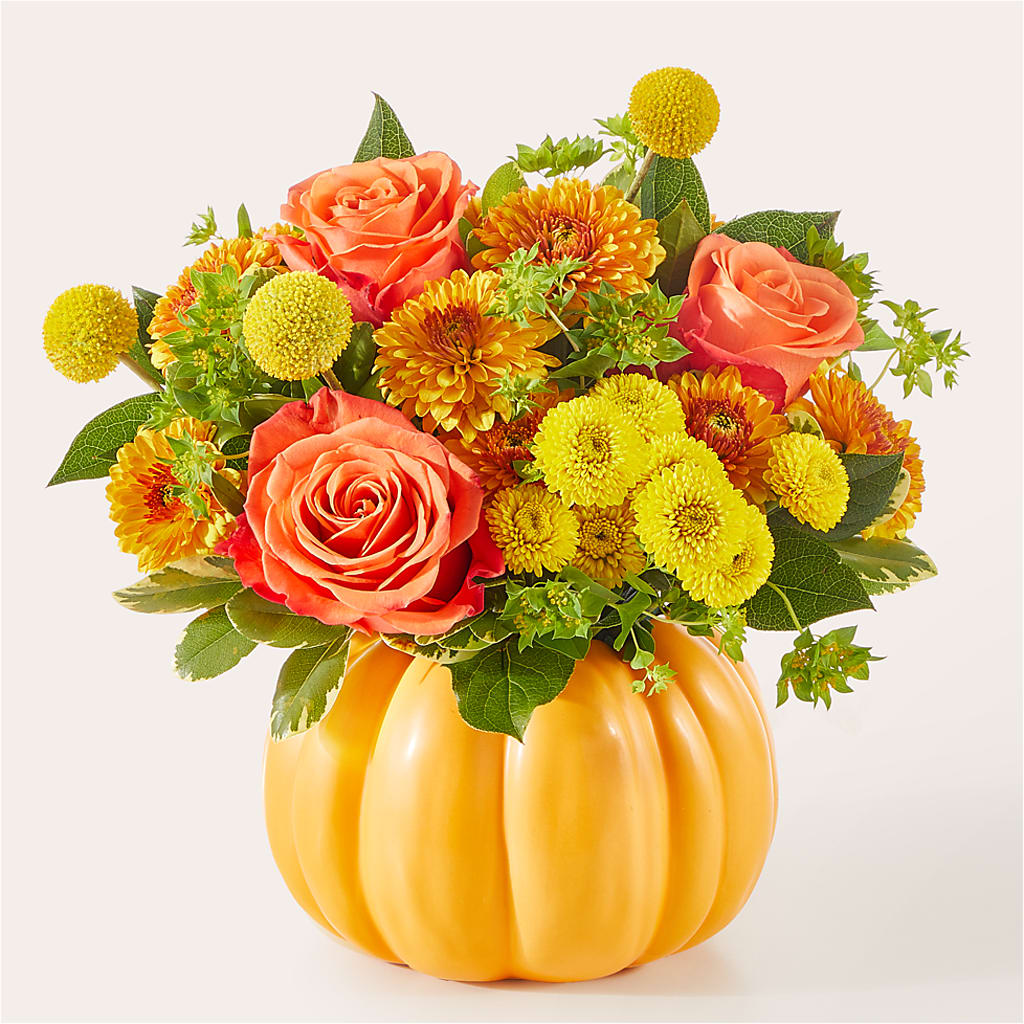 Gourdgeous Pumpkin –  Minish And Potts Llc, Crestwood KY