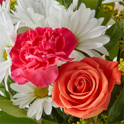 Oopsie Daisy Bouquet –  Minish And Potts Llc, Crestwood KY