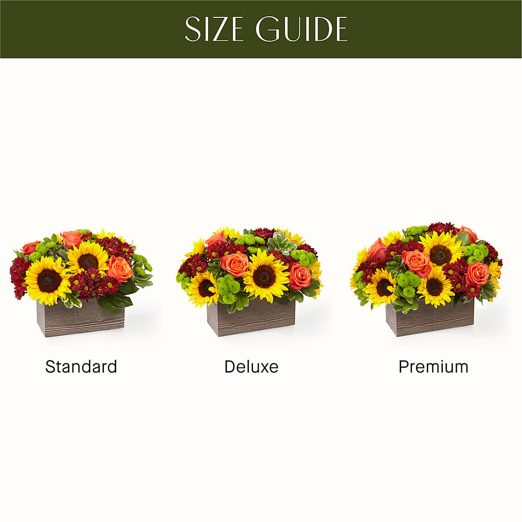 Happy Harvest Garden –  Minish And Potts Llc, Crestwood KY