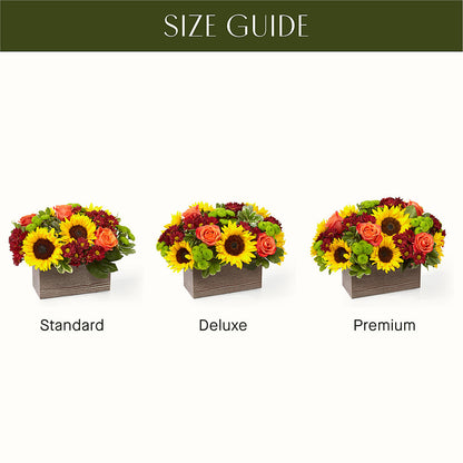 Happy Harvest Garden –  Minish And Potts Llc, Crestwood KY
