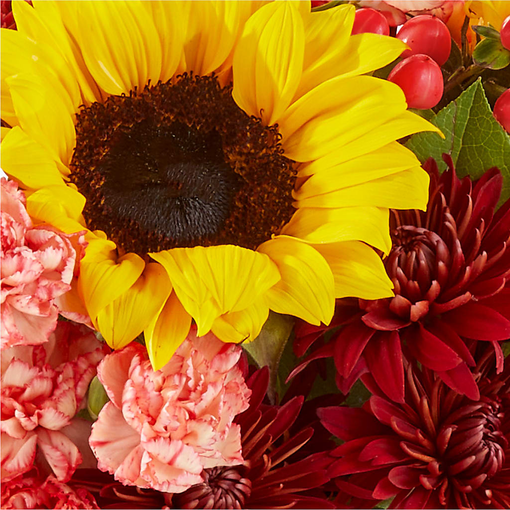 Fresh Cider Bouquet –  Minish And Potts Llc, Crestwood KY