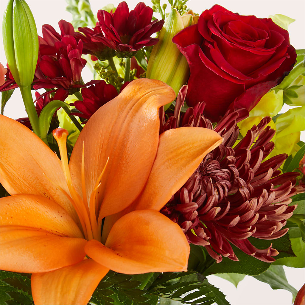 Sweater Season - A Florist Original –  Minish And Potts Llc, Crestwood KY