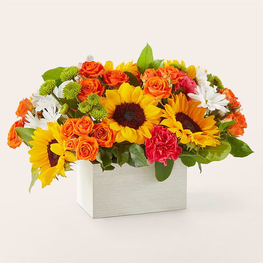 Sun-drenched Blooms Box Bouquet –  Minish And Potts Llc, Crestwood KY