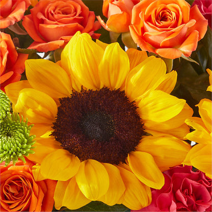Sun-drenched Blooms Box Bouquet –  Minish And Potts Llc, Crestwood KY