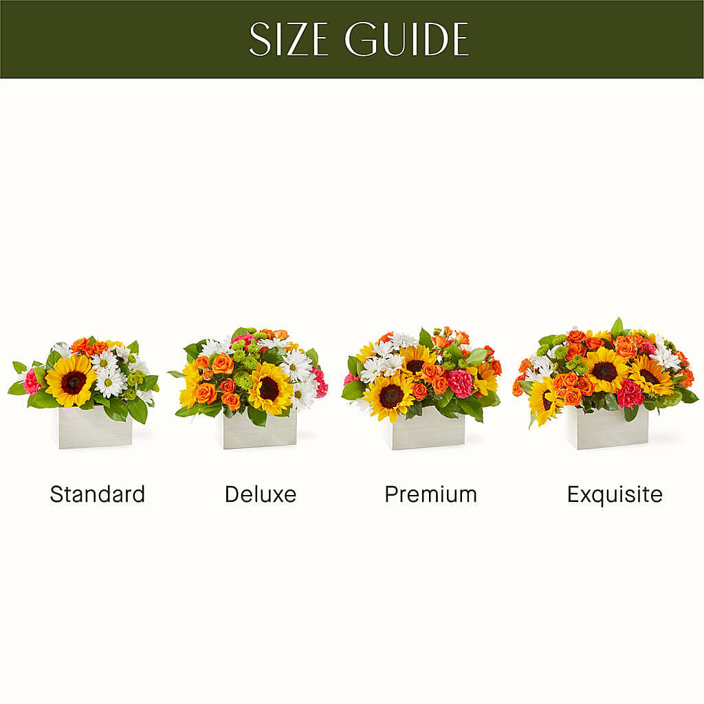 Sun-drenched Blooms Box Bouquet –  Minish And Potts Llc, Crestwood KY