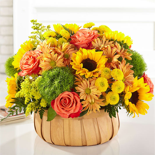 Harvest Sunflower Basket – MINISH AND POTTS LLC, Crestwood KY