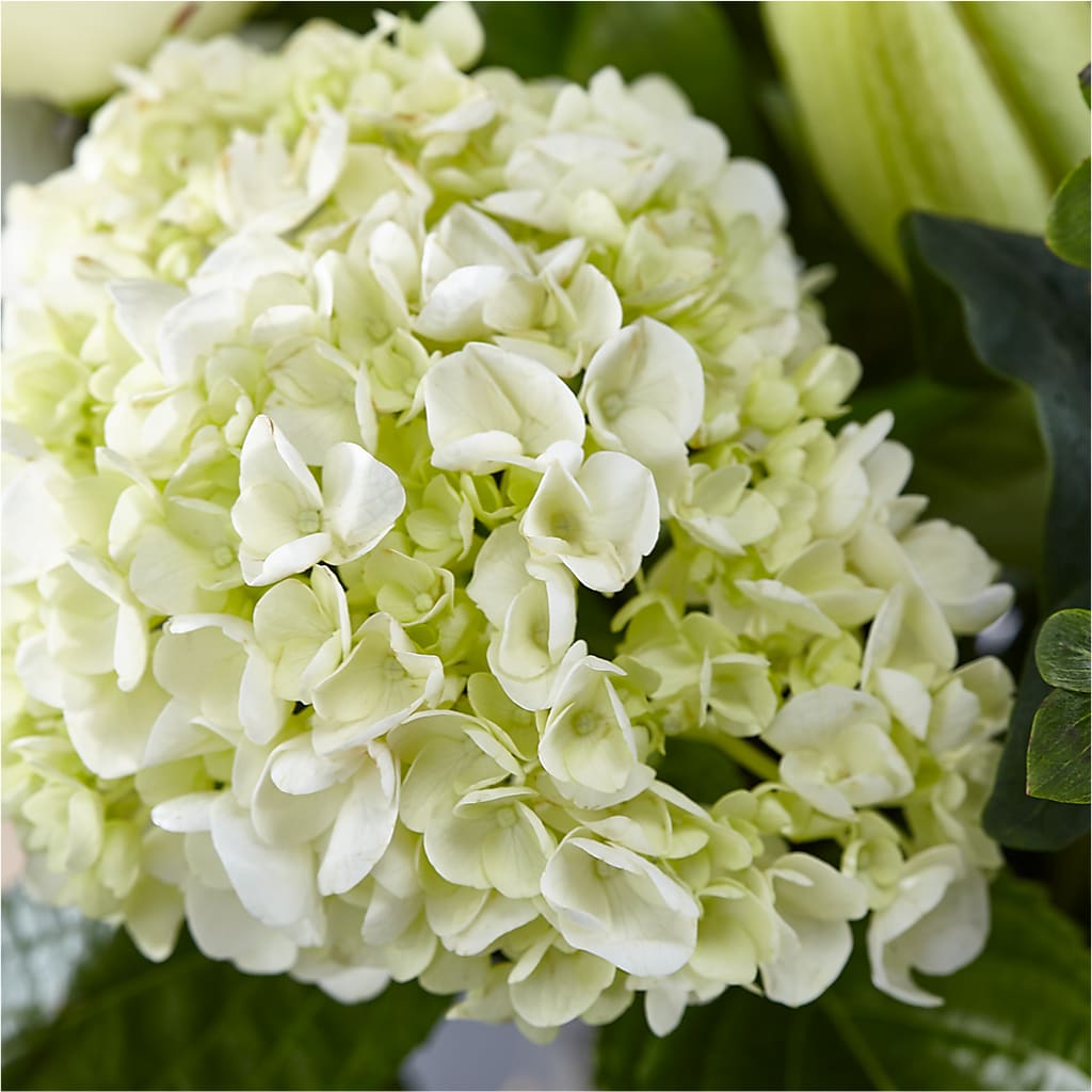 Classic Ivory – A Florist Original –  Minish And Potts Llc, Crestwood KY