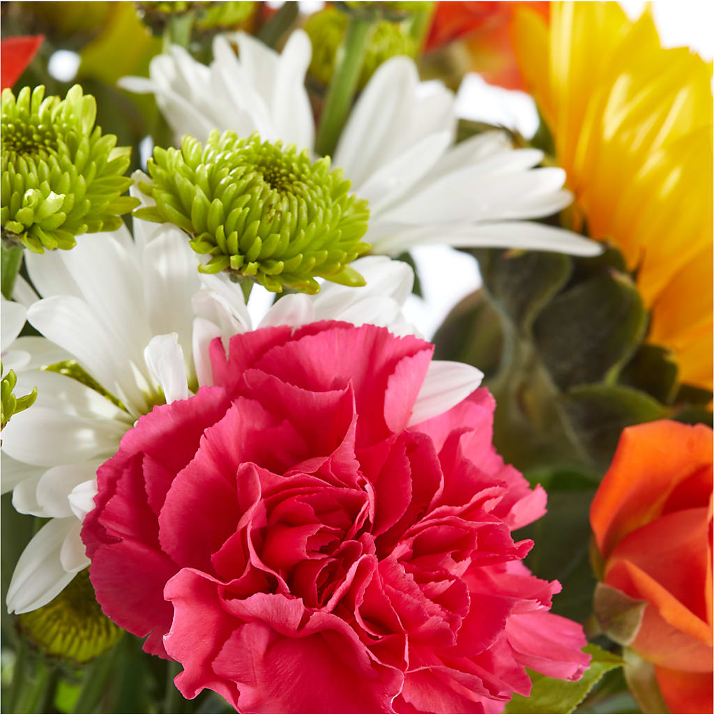 Sun-drenched Blooms Bouquet –  Minish And Potts Llc, Crestwood KY