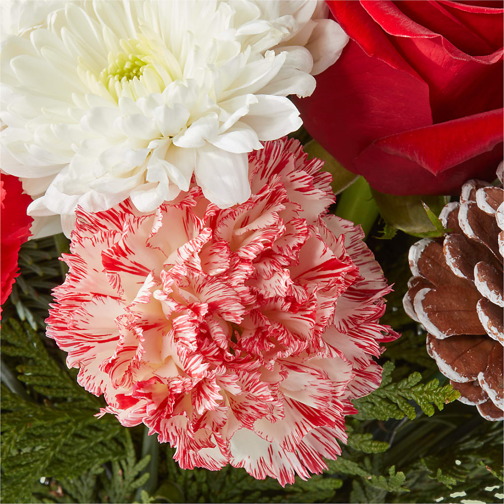 Candy Cane Lane Bouquet –  Minish And Potts Llc, Crestwood KY