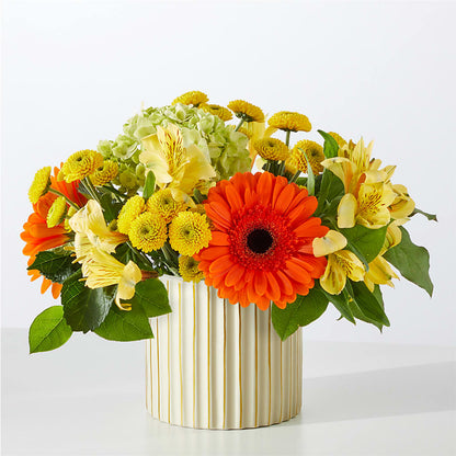 Autumn Sunshine Bouquet with Ivory Vase –  Minish And Potts Llc, Crestwood KY