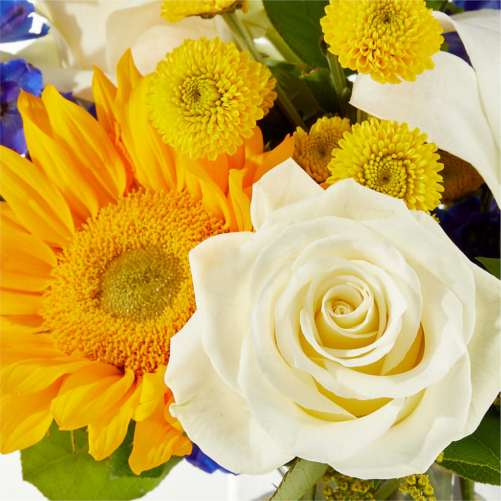 Stargazing Bouquet –  Minish And Potts Llc, Crestwood KY