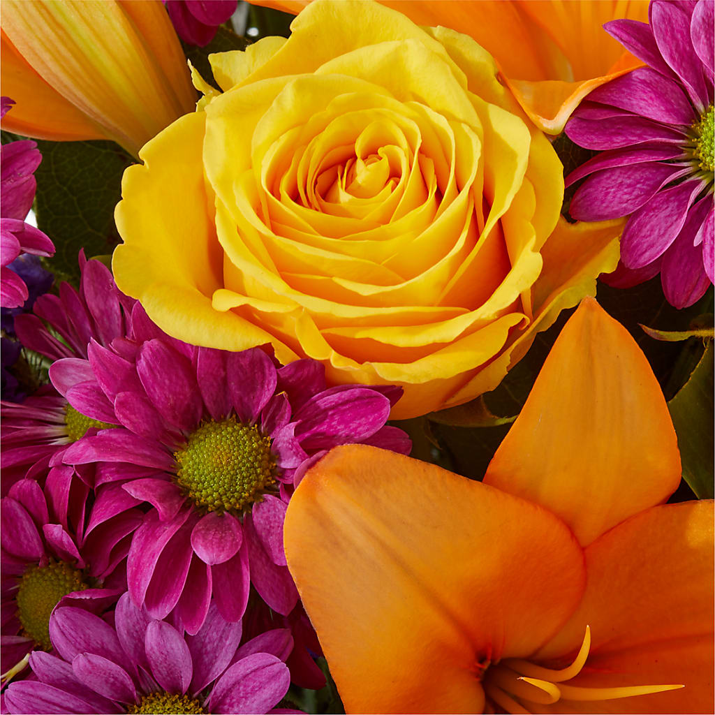 Colorful Visions Bouquet –  Minish And Potts Llc, Crestwood KY