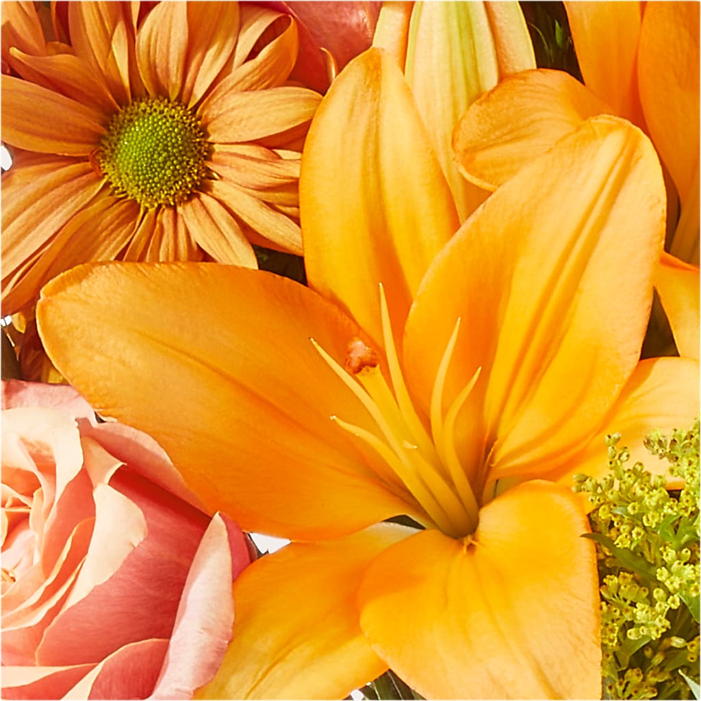 Harvest Hayride Bouquet –  Minish And Potts Llc, Crestwood KY