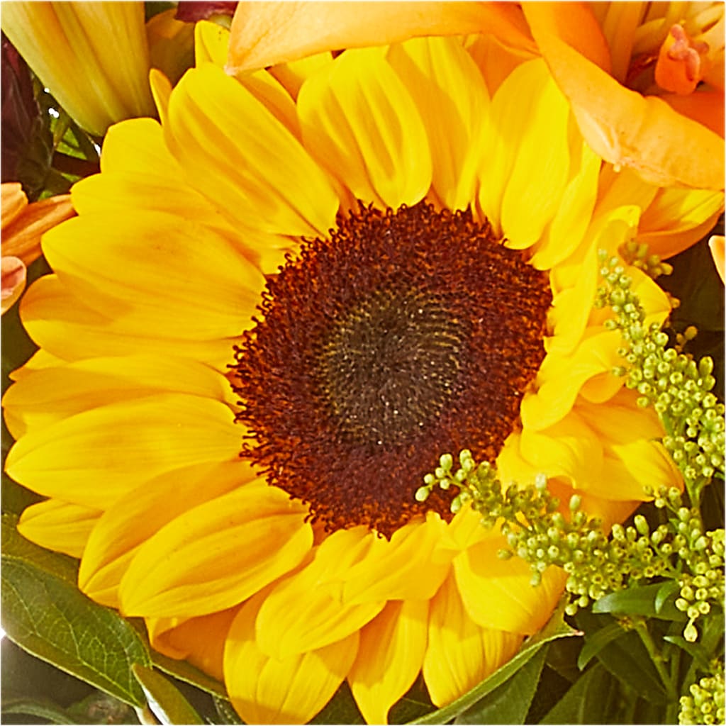 Seasons Change Bouquet –  Minish And Potts Llc, Crestwood KY