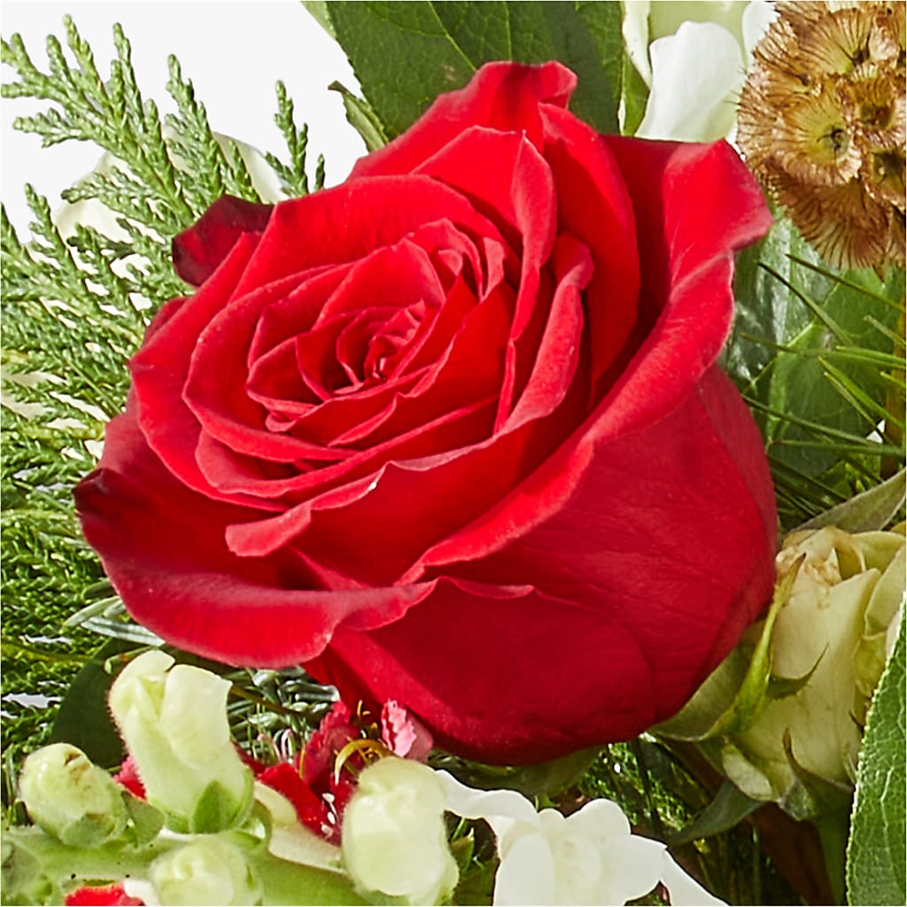 Deck the Halls Bouquet –  Minish And Potts Llc, Crestwood KY
