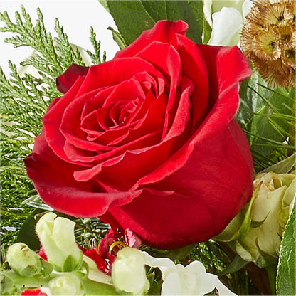 Deck the Halls Bouquet –  Minish And Potts Llc, Crestwood KY