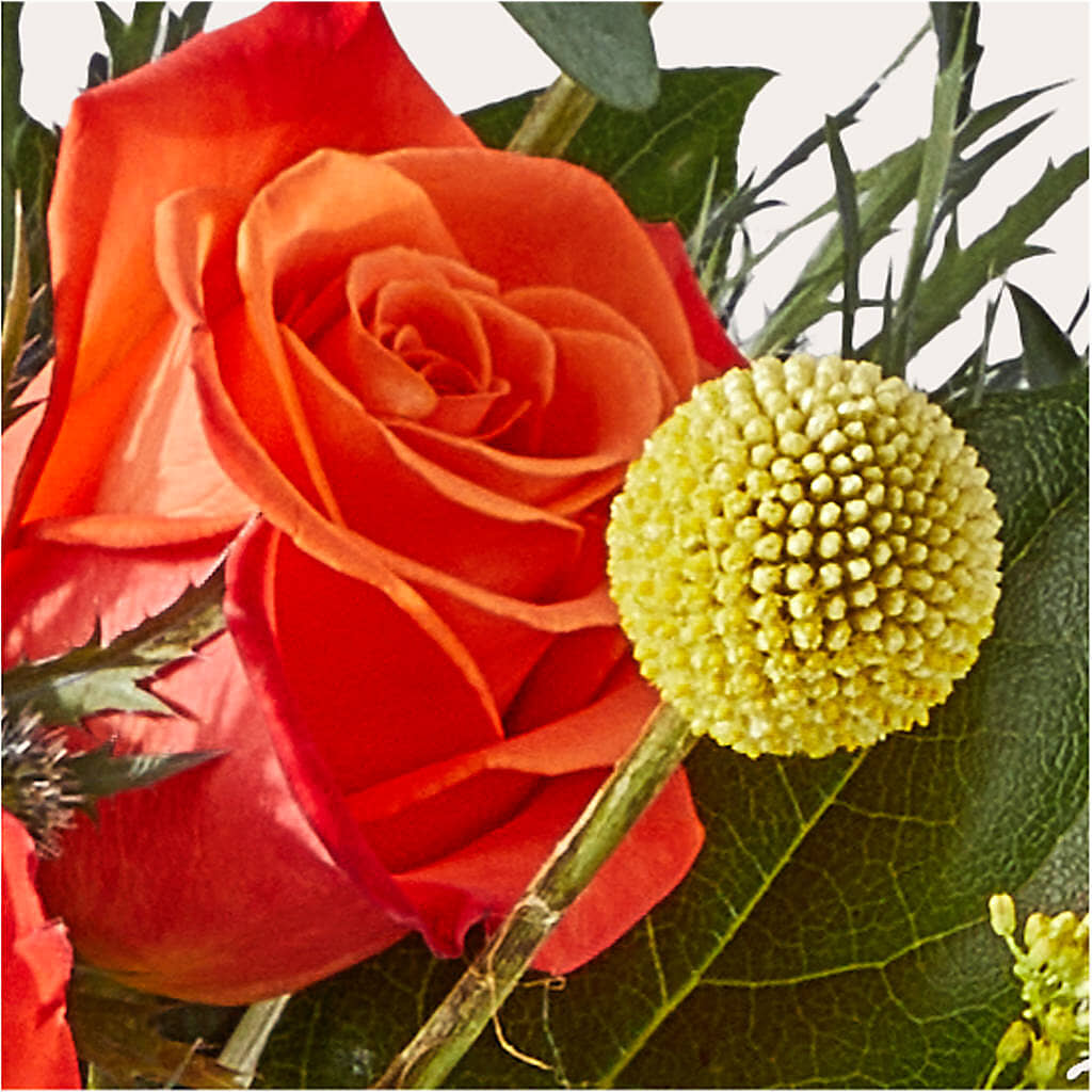 Disco Bouquet –  Minish And Potts Llc, Crestwood KY