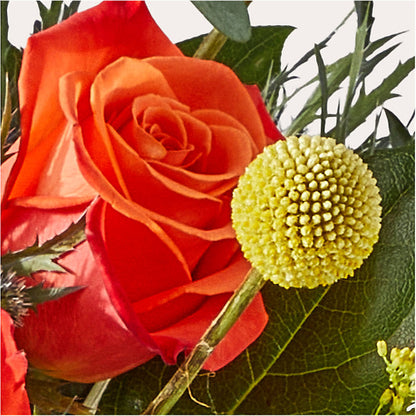 Disco Bouquet –  Minish And Potts Llc, Crestwood KY