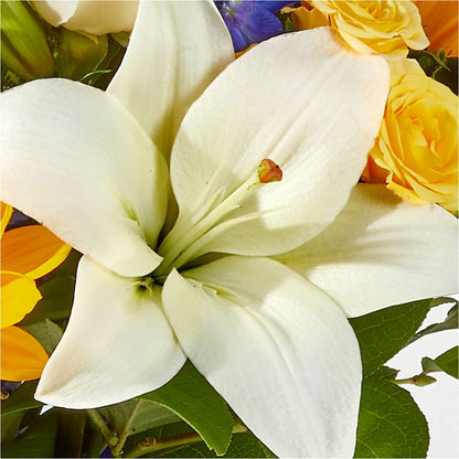 Wonderfully Sunny Bouquet –  Minish And Potts Llc, Crestwood KY