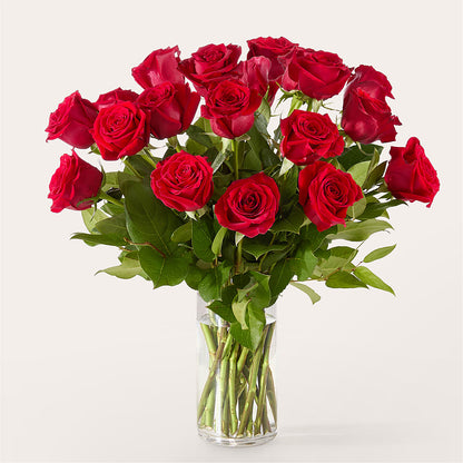 The One Red Rose Bouquet –  Minish And Potts Llc, Crestwood KY