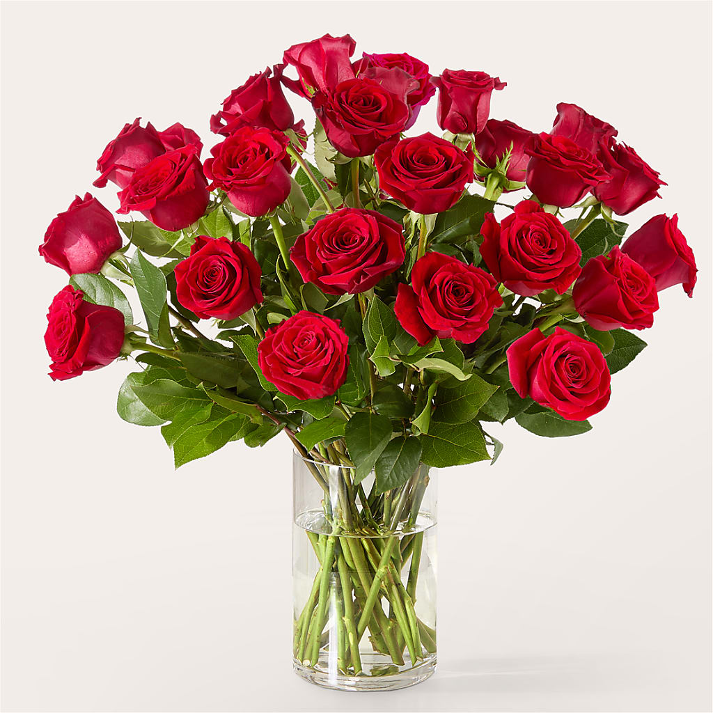 The One Red Rose Bouquet –  Minish And Potts Llc, Crestwood KY