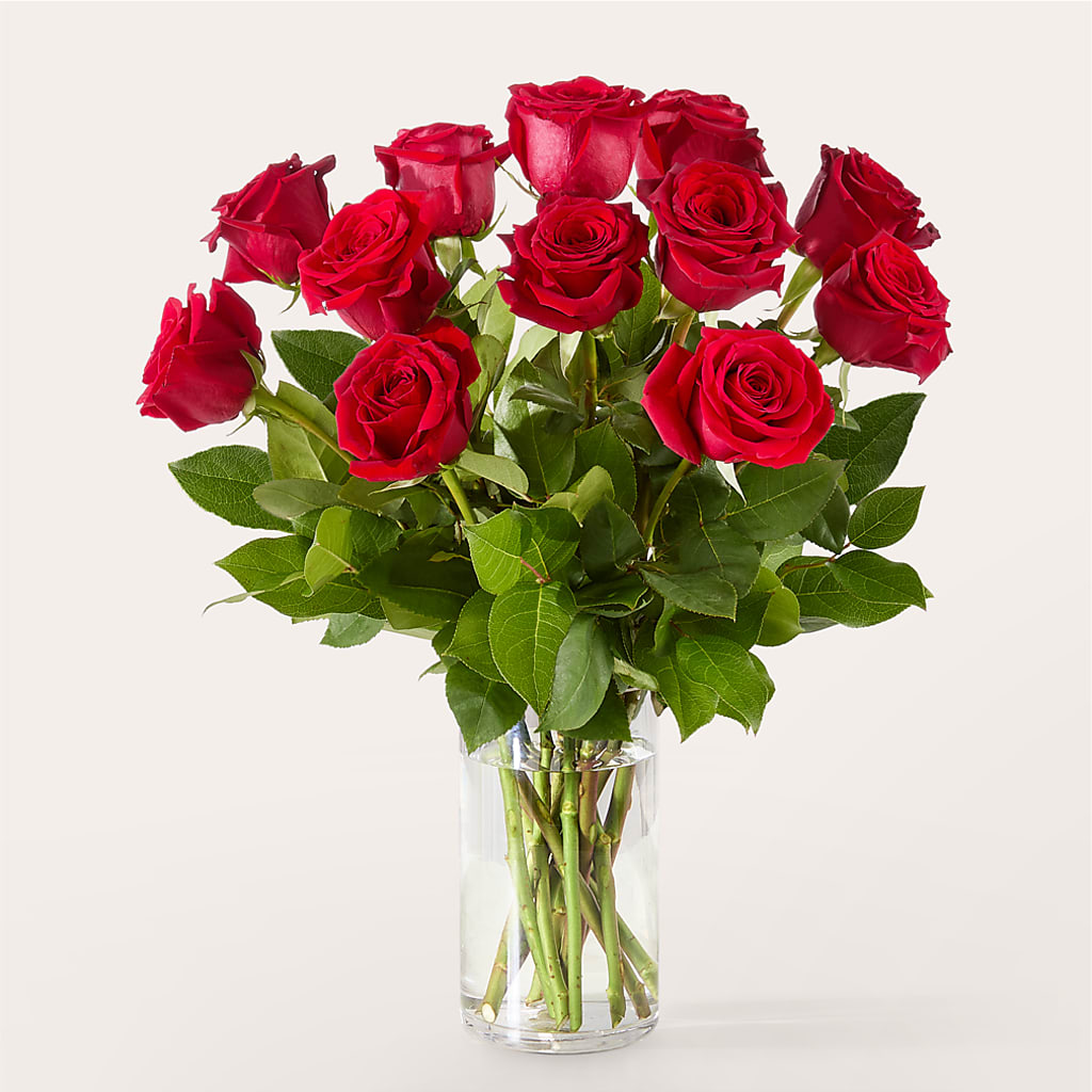 The One Red Rose Bouquet –  Minish And Potts Llc, Crestwood KY