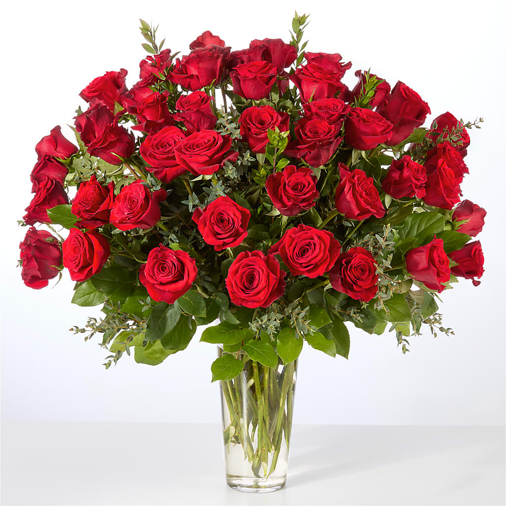 Forever Yours Fifty Stem Red Rose Bouquet –  Minish And Potts Llc, Crestwood KY