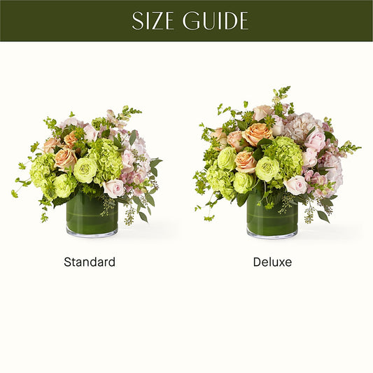 The Art Deco –  Minish And Potts Llc, Crestwood KY