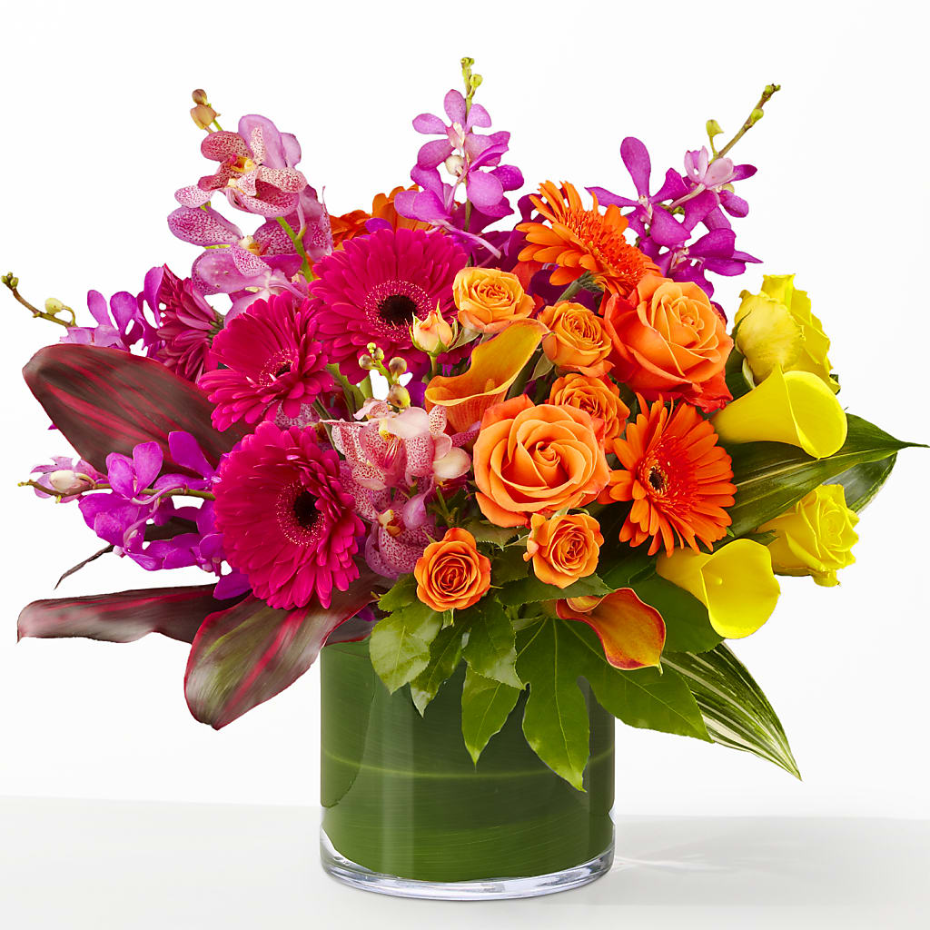 The Mosaic –  Minish And Potts Llc, Crestwood KY